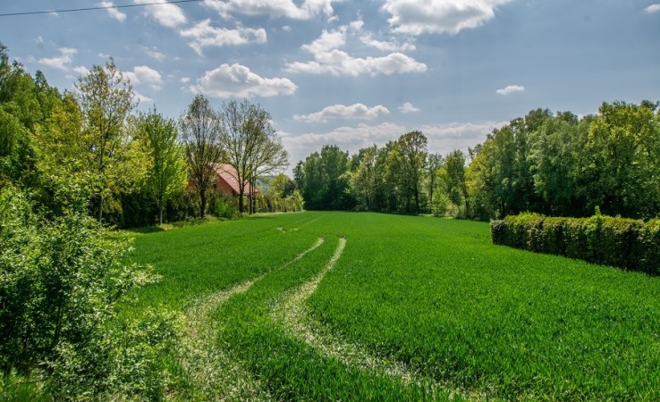 działka na sprzedaż - Jastrzębie-Zdrój, Pochwacie
